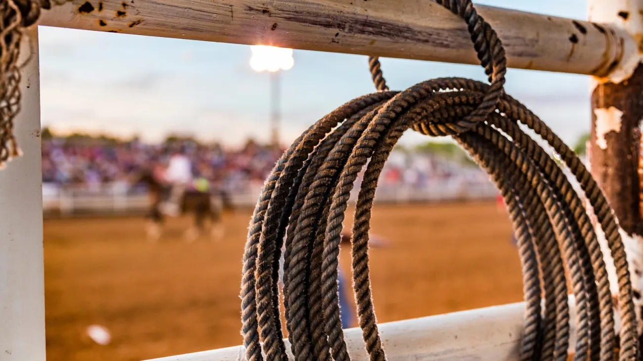 Brash Winter Series Rodeo 2020