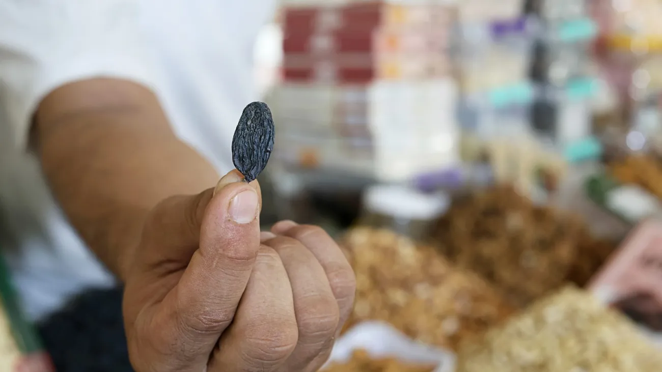 Close-up of a vendor demonstrating a large black raisin at a traditional market. Hand presenting dried fruit to customer