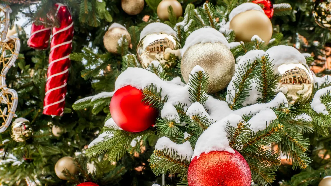 Snow-covered Christmas tree with red and gold ornaments