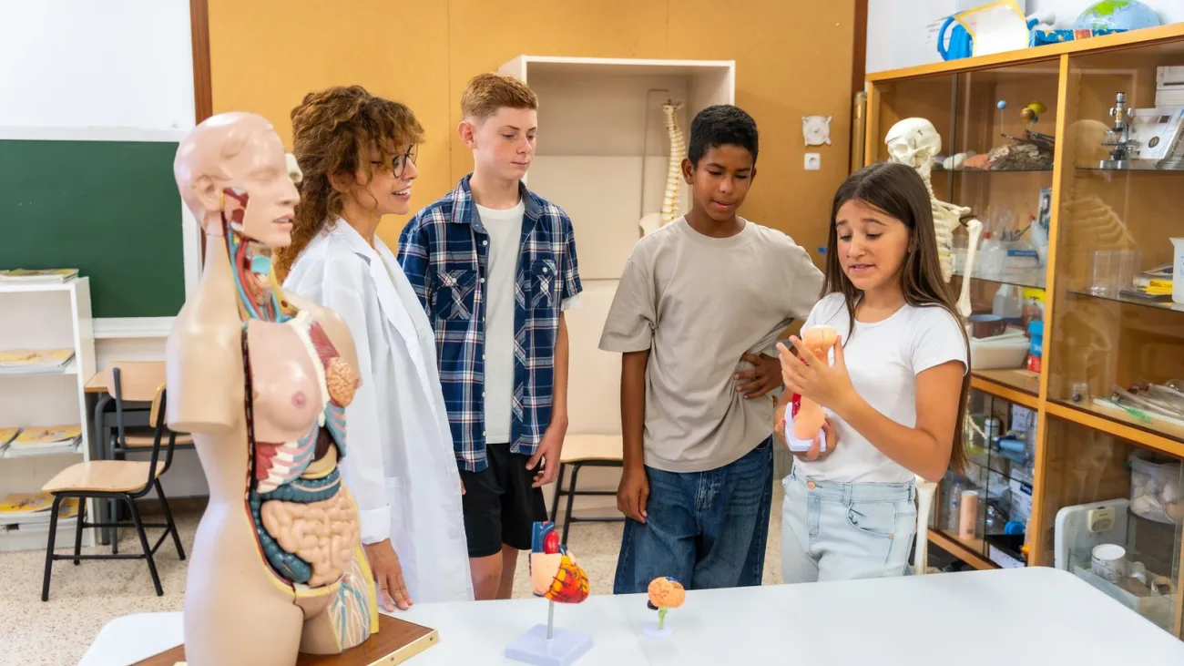 Students learning human anatomy in biology class