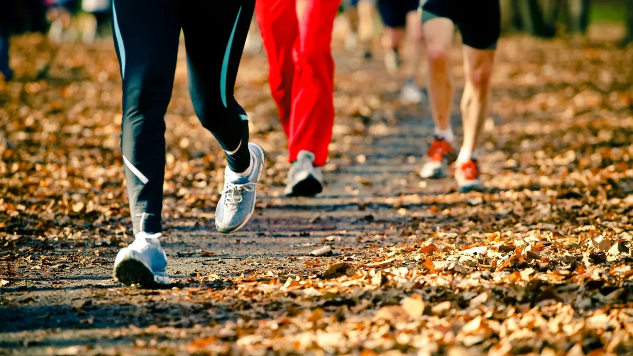 Runners on a road race in autumn