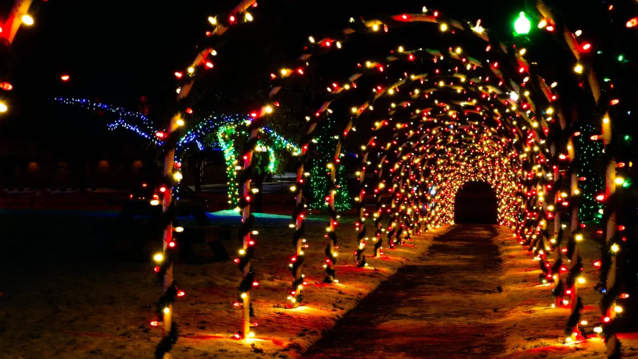 Holiday light tunnel