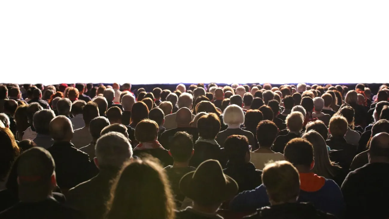 Audience seated in front of a film screen