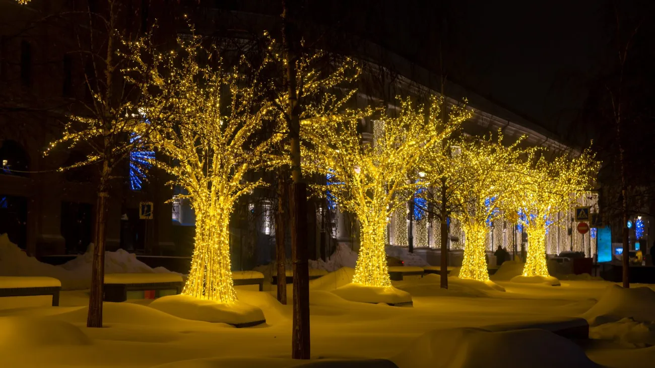 Side view of group of gold colored illuminated tree shaped artificial Christmas city street decorations at night. Select