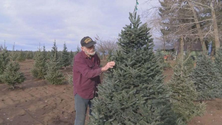 Montana's Christmas Tree Hero