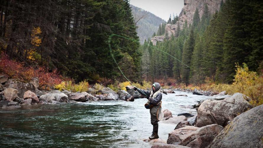 Fall Fly Fishing