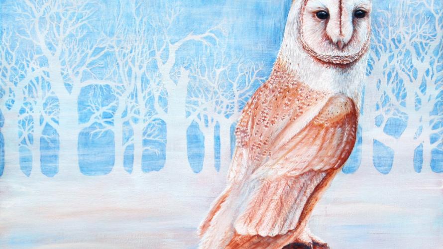 barn owl painting