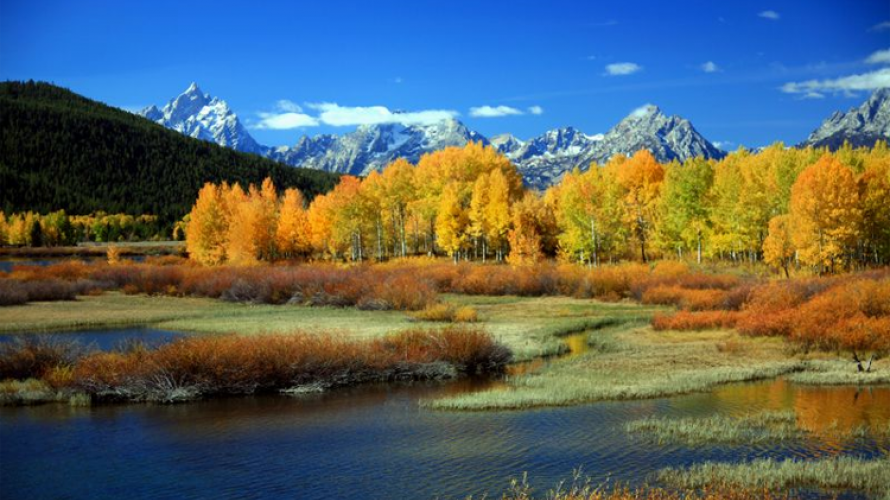 fall in Montana