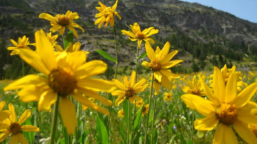 family fun in Montana