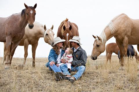 The Wickens Family Story