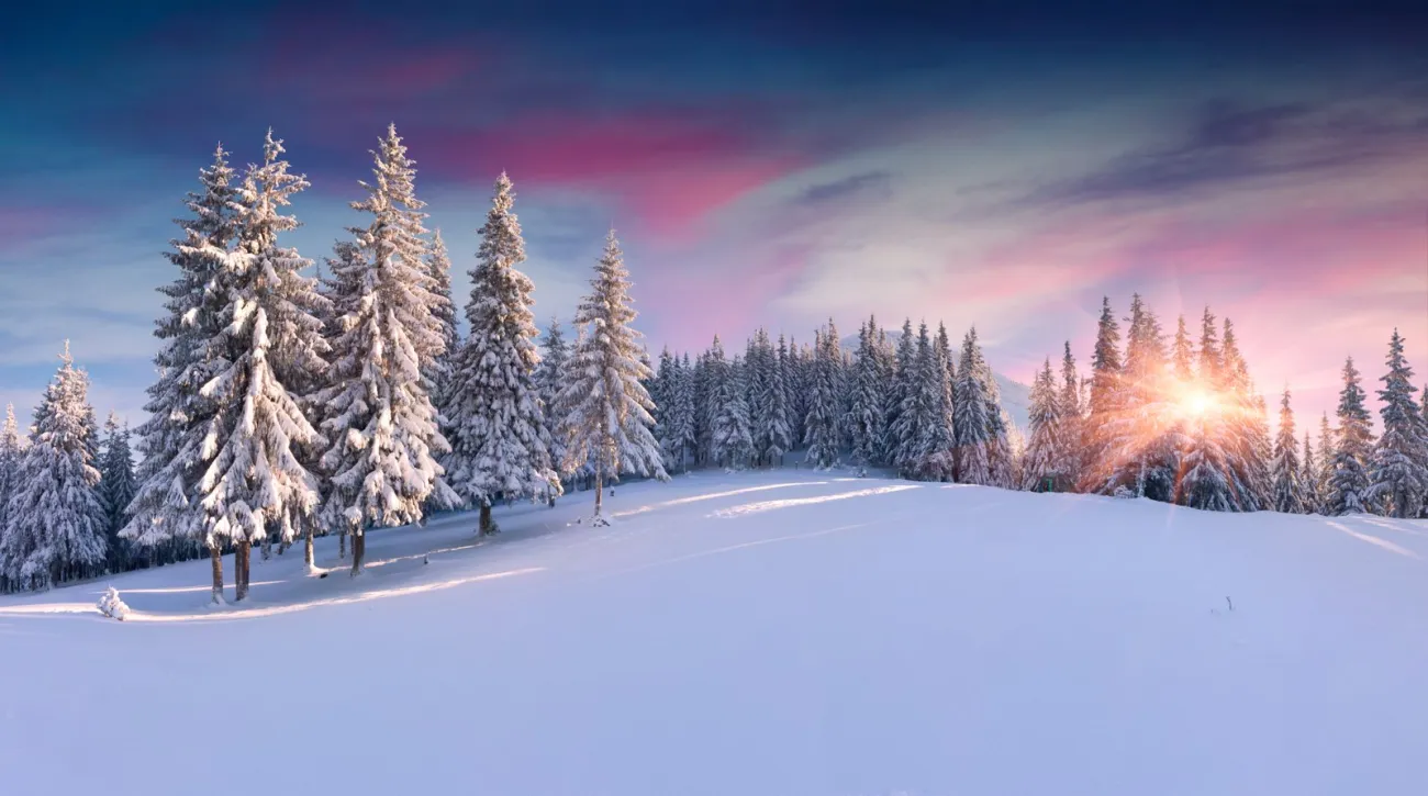 Ladles of Love for Winter Solstice!, Hamilton