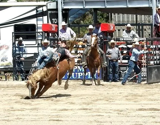 CMR Stampede PRCA Rodeo, Stanford