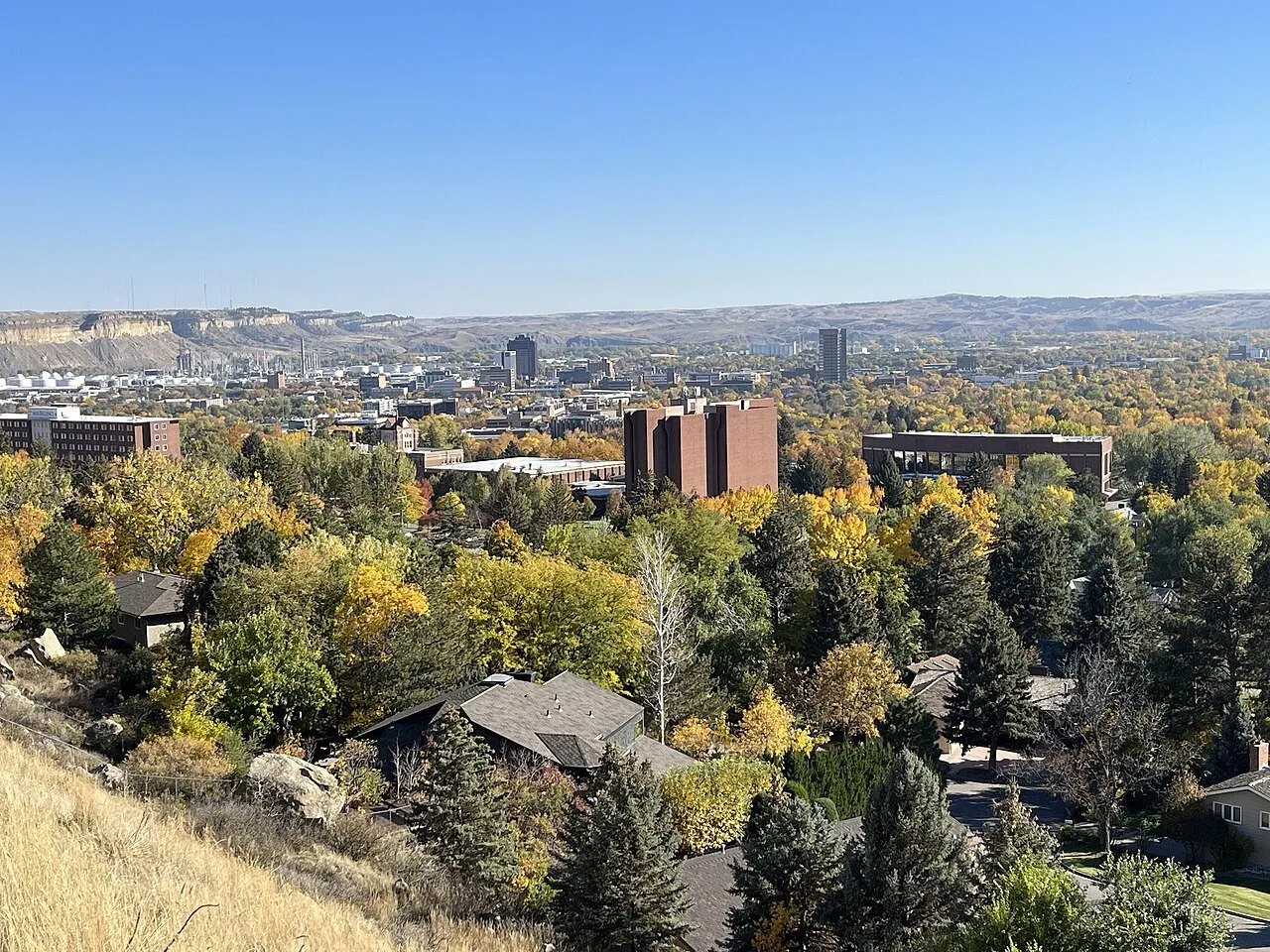 Foodies + New Friends: Billings (Giving Back Edition), Billings