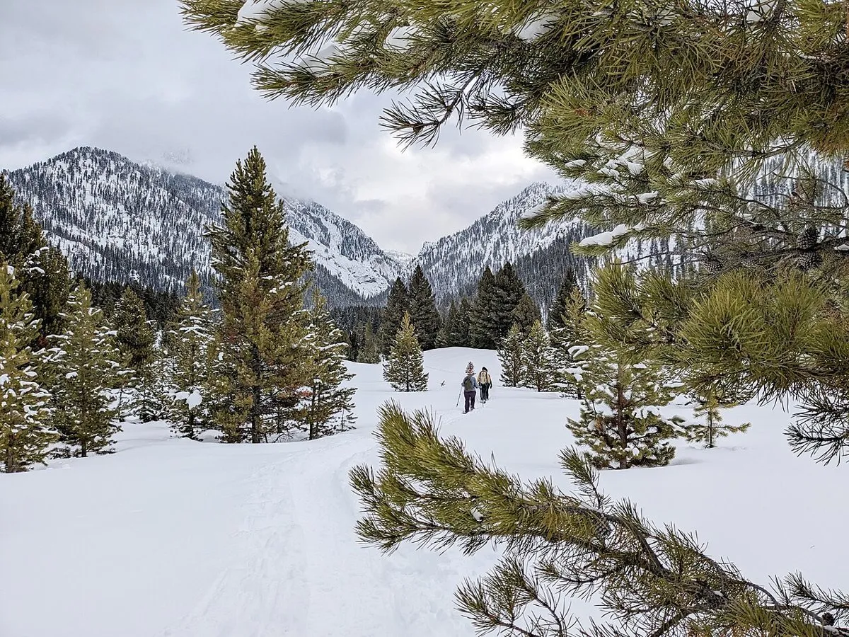 Refuge Point Snowshoe Hikes, West Yellowstone