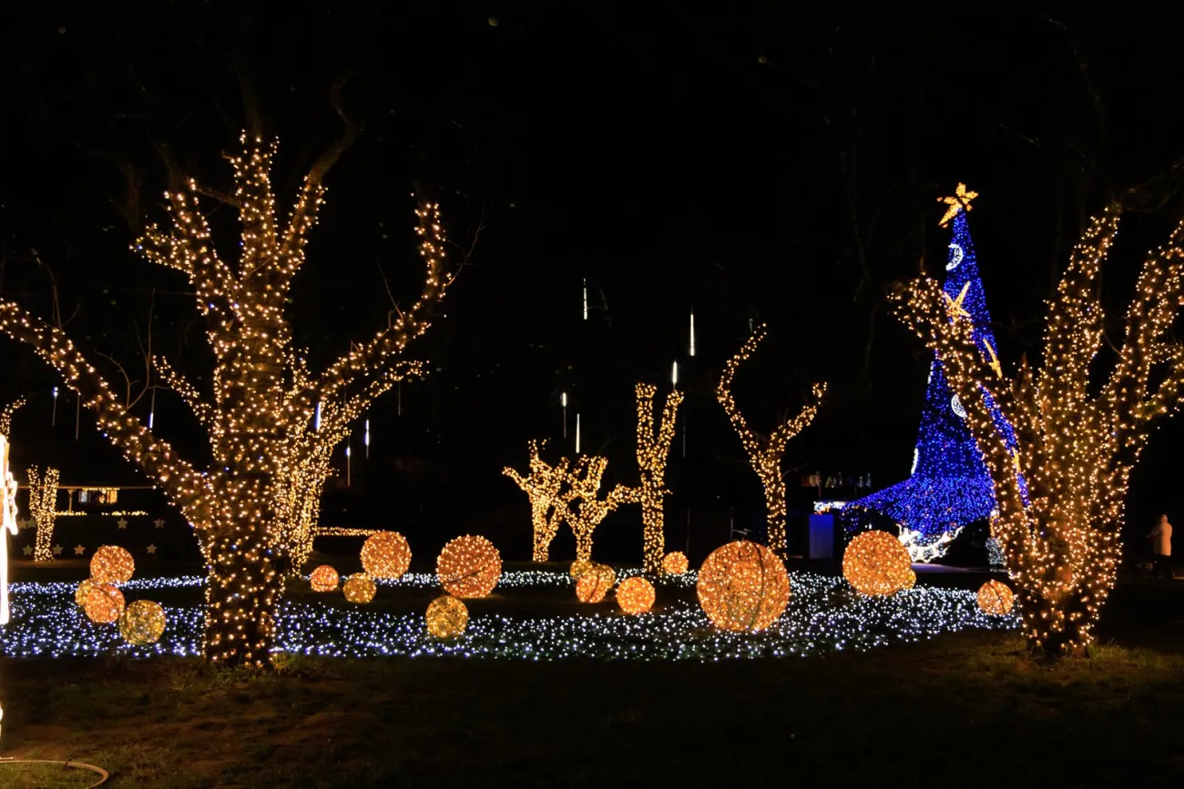 Tomáseen Foley’s A Celtic Christmas, Victor