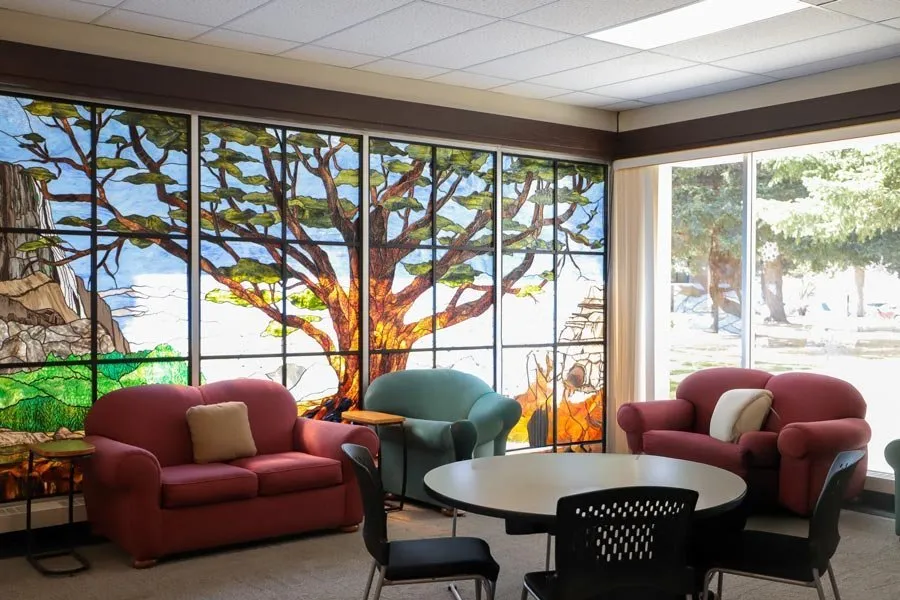 HIP Spotlight: From Passion to Profession, Dillon