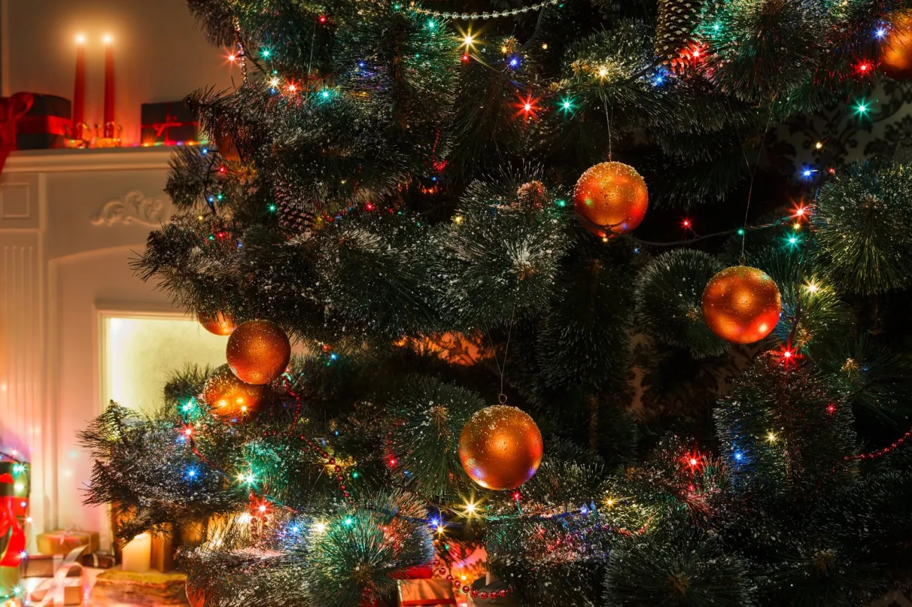 The People’s Tree Celebration: Whistlestop Tour 2026, Gardiner