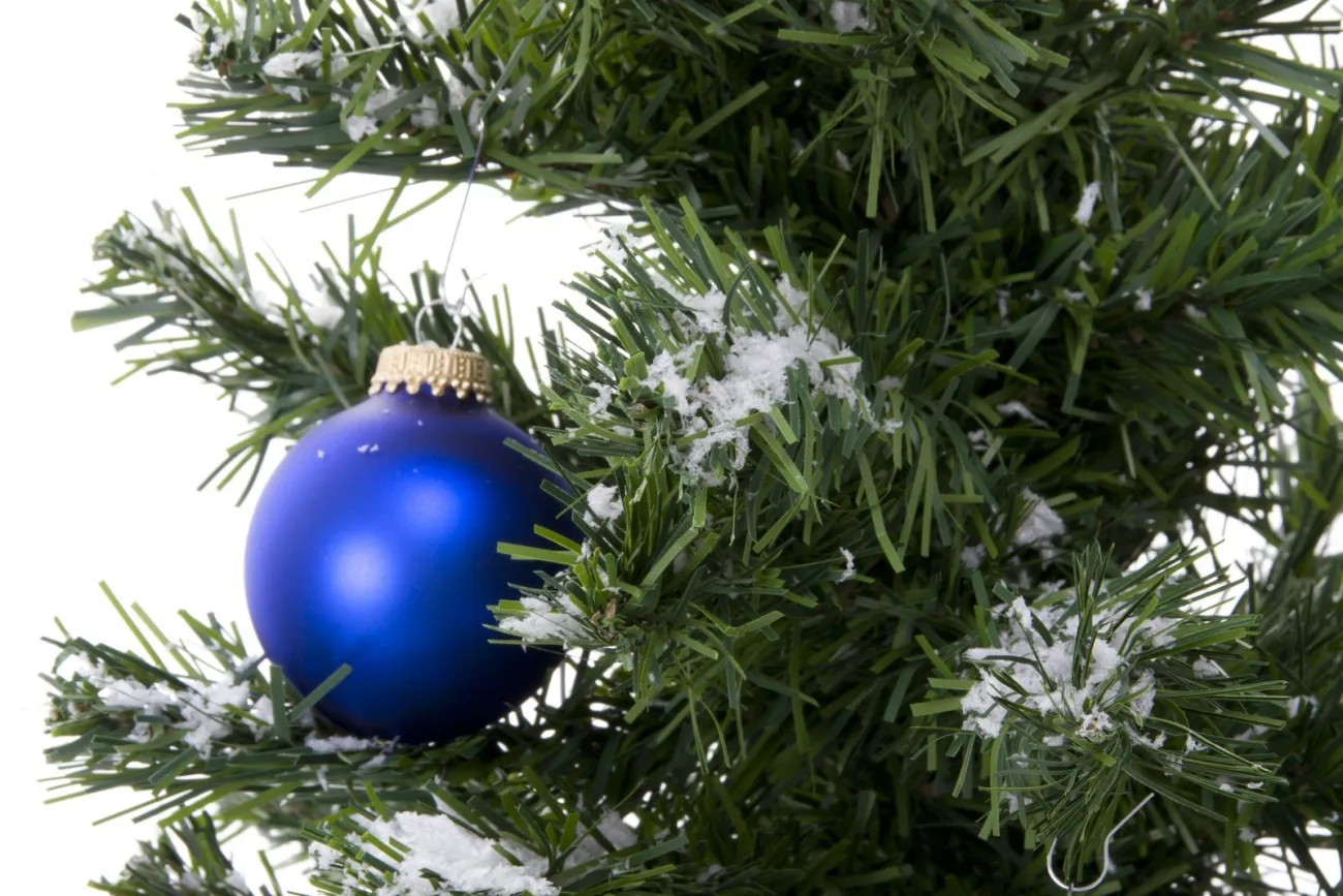 A Celtic Christmas, Hamilton