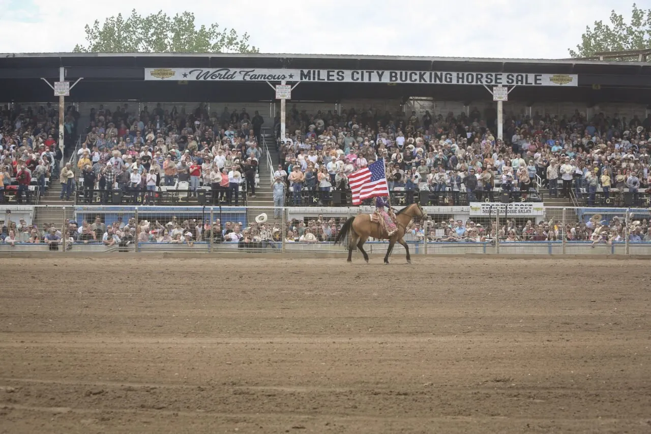 Miles City Bucking Horse Sale, Miles City
