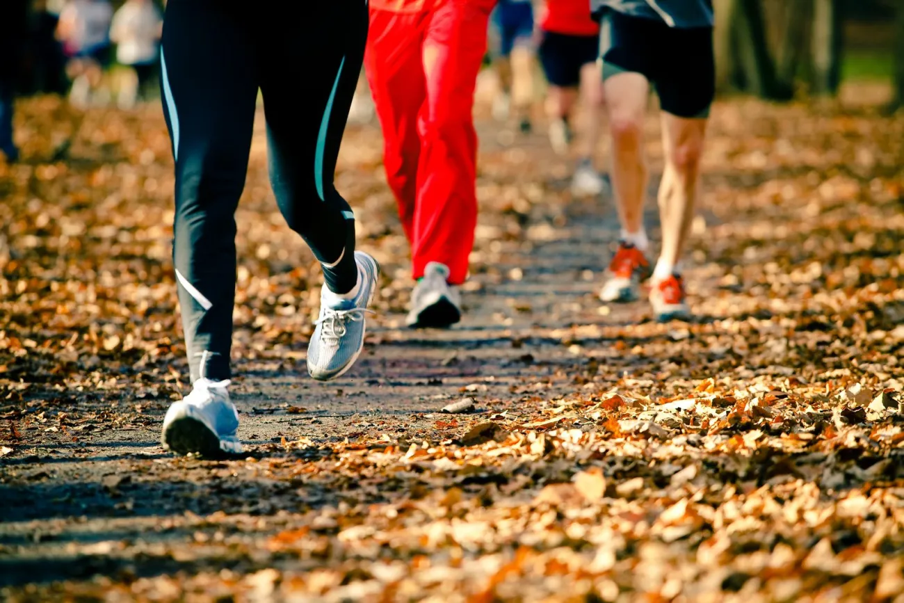 Runners on a road race in autumn