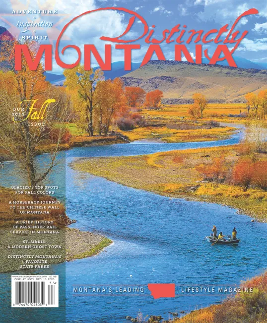 Fall 2020 cover