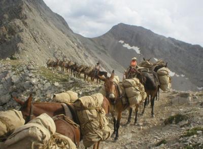 pack horse trips montana