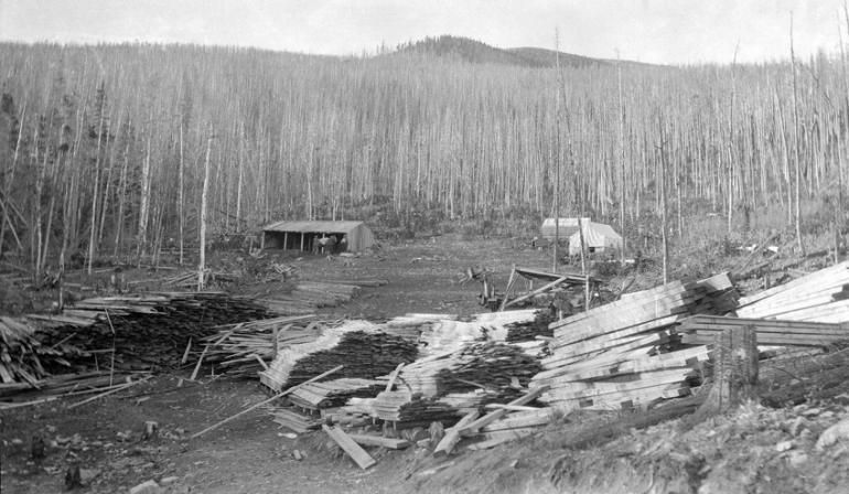 Sawmill