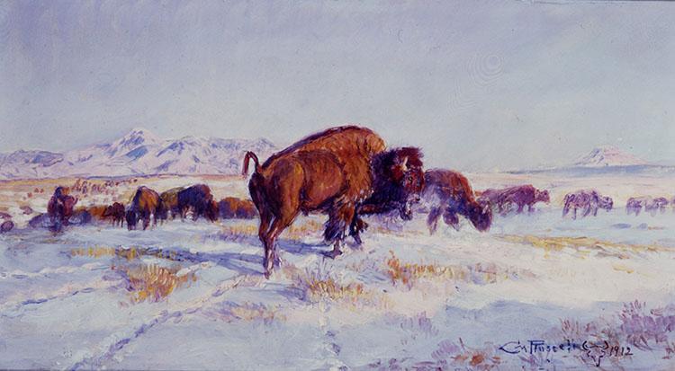 Buffalo in Winter 1912