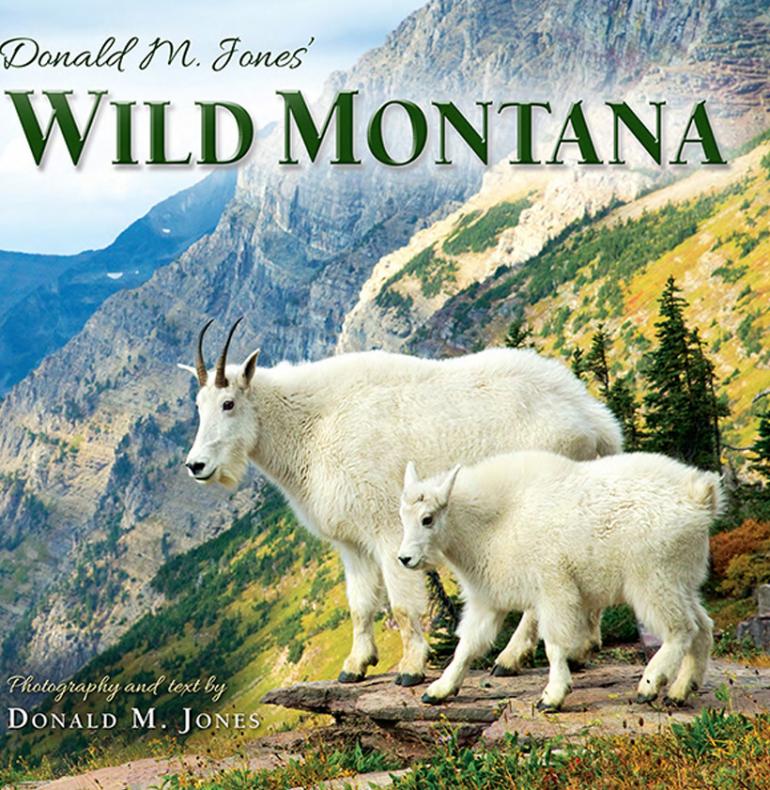 Wild Montana
