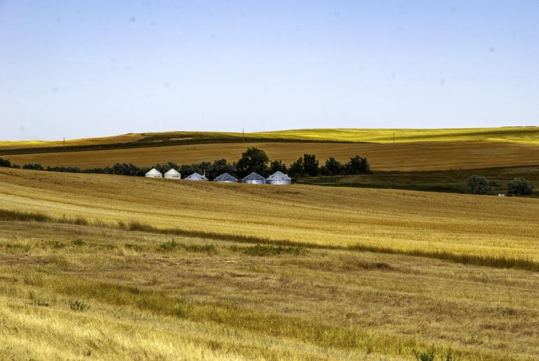 Dawson County Farmland