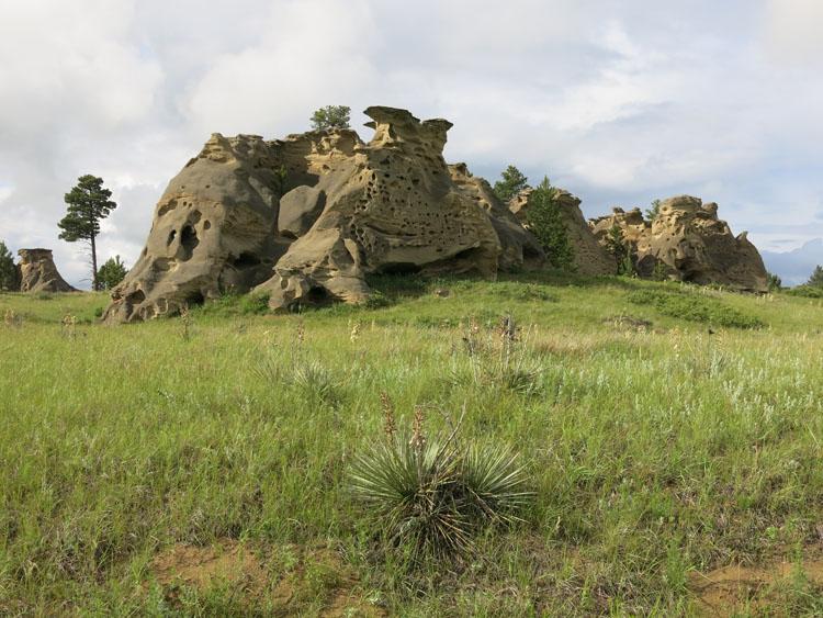 MedRock1