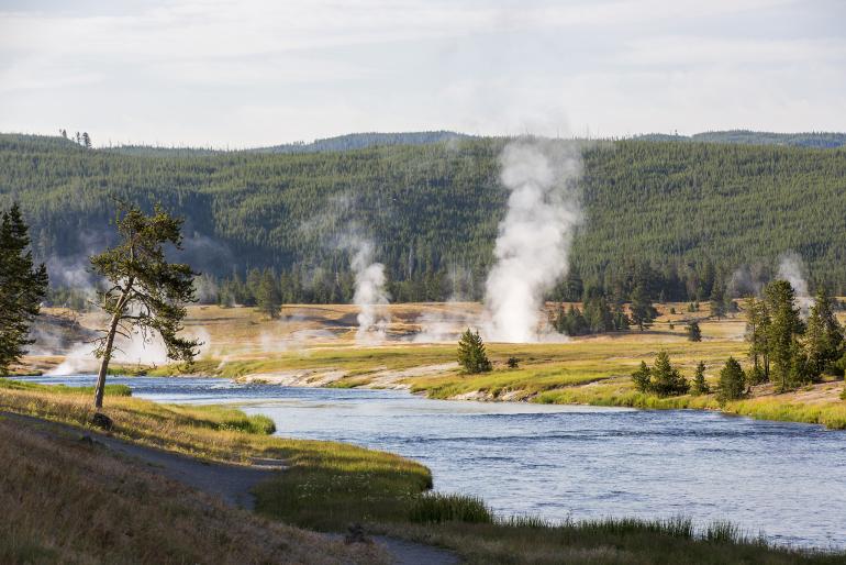 YP thermal Cody Brown