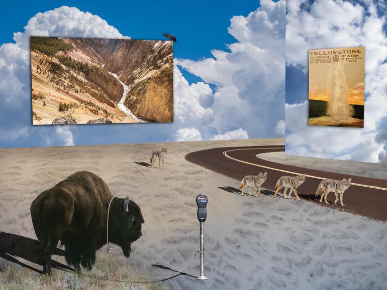 Yellowstone Dystopia (Dail in Yellowstone)