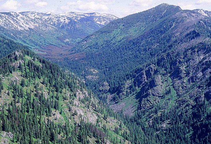 Bear Creek Selway Bitterroot Wilderness