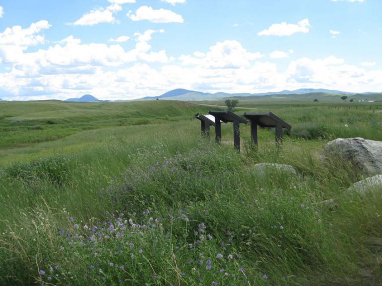 Bear Paw view