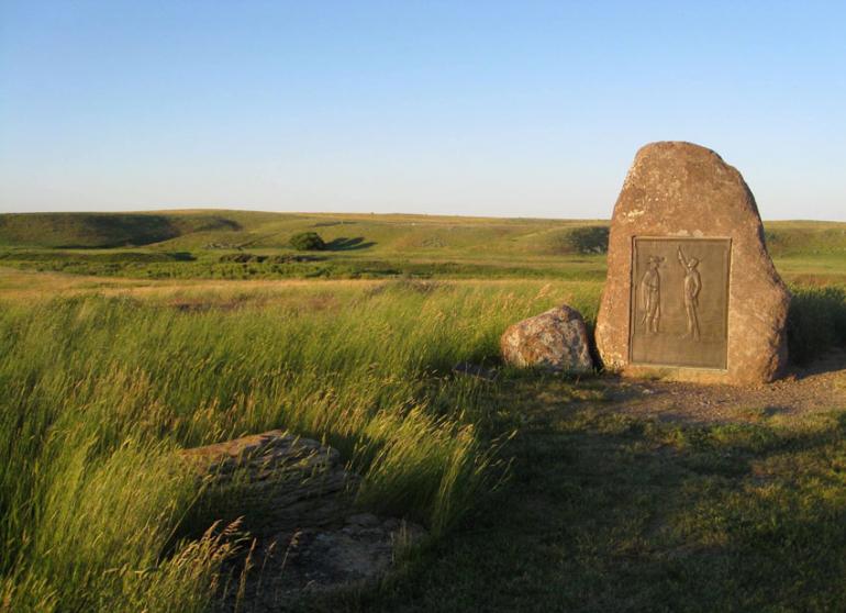 Bear paw View to two trees 