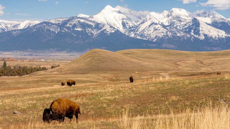 National Bison Range | Photo by Doug Stevens