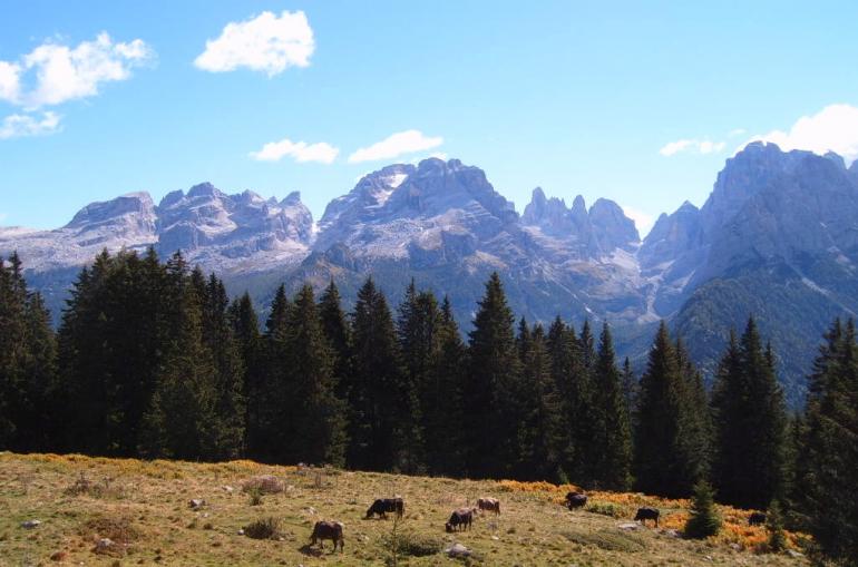 the Brenta Dolomites in Trentino, Italy