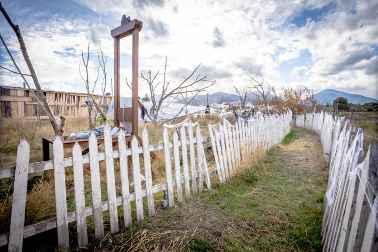 Guillotine at the Field of Screams