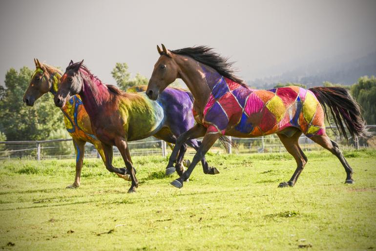 Painted horses against a smoke fill sky Photo by John Ahsley