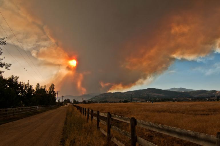 Smoke from 2013 Lolo Creek Fire. Photo by Tamar Kasberg