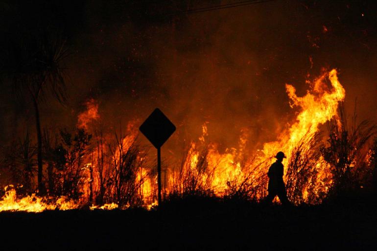 Fore Fire with Firefighter in foreground