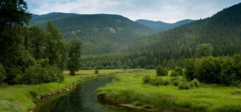 Yaak Valley