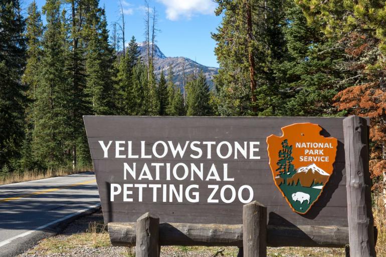Yellowstone National Petting Zoo