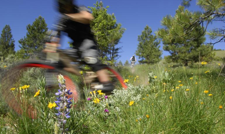 Biking trail