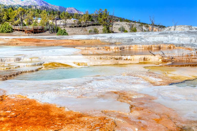 Canary Spring at Mammoth Hot Springs in Yellowstone National Park