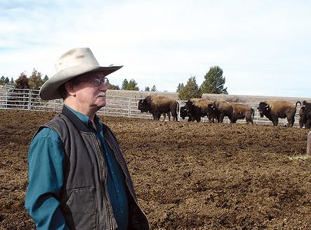 buffalo guy