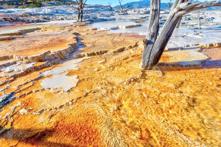 View of Canary Spring, Mammoth Hot Springs