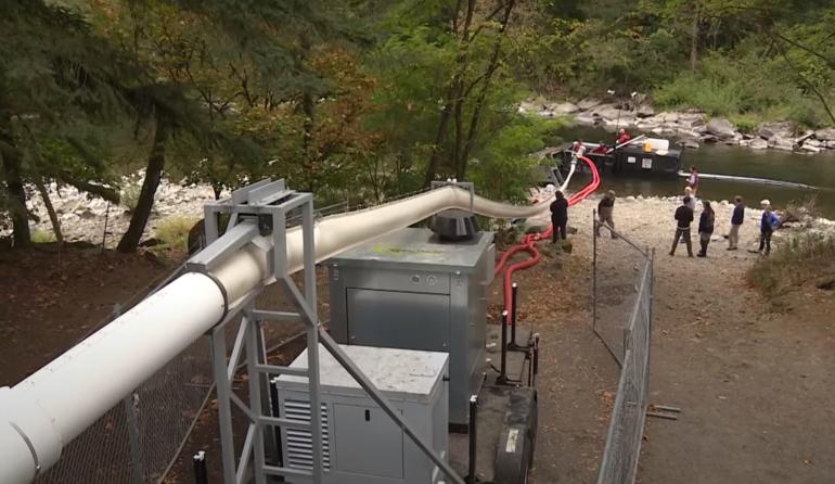 Salmon Cannon rearview