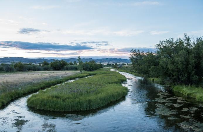 Fink Easement on Madison River